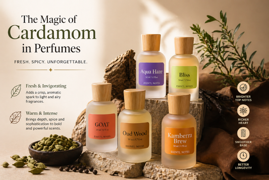 Cardamom in Perfumes: The Secret Ingredient Behind Fresh & Bold Fragrances