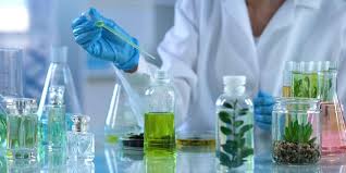 Perfume Myths Busted by Science (and Your Nose)