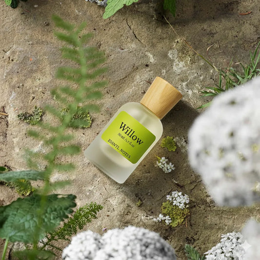 ESSNTL NOTES Willow Soft Serene Amber Woody 50ml , premium fragrance ideal for gifting